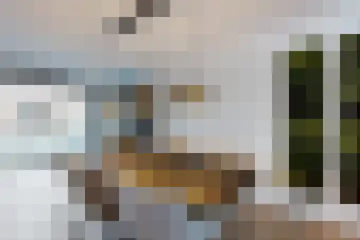 Rosmolen 22 Zevenbergen thumbnail 18