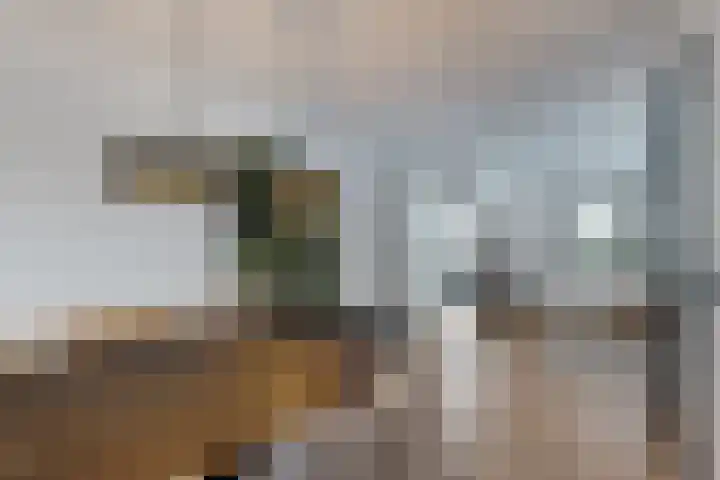 Rosmolen 22 Zevenbergen thumbnail 19