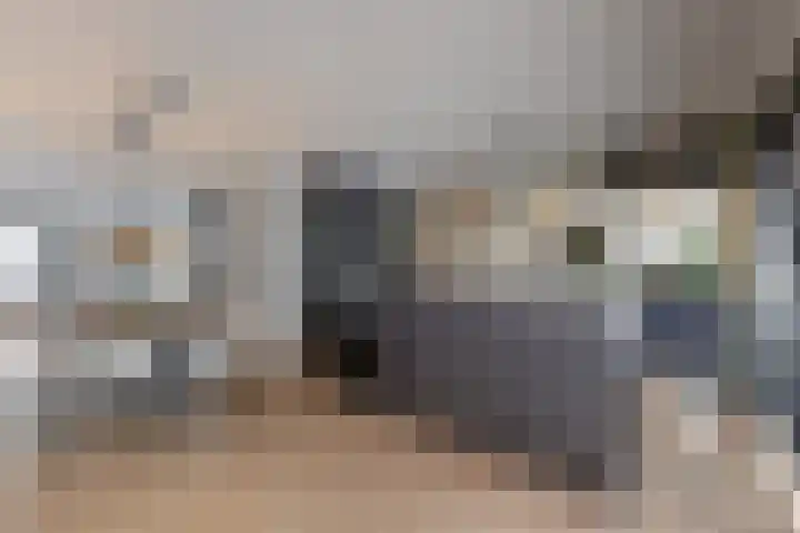 Rosmolen 22 Zevenbergen thumbnail 21