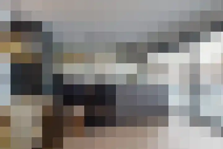 Rosmolen 22 Zevenbergen thumbnail 22