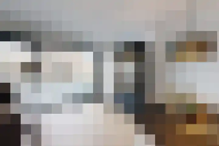 Rosmolen 22 Zevenbergen thumbnail 24