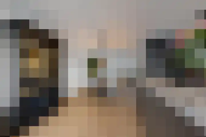 Rosmolen 22 Zevenbergen thumbnail 26