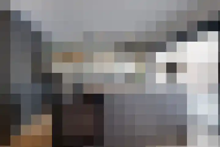 Rosmolen 22 Zevenbergen thumbnail 28