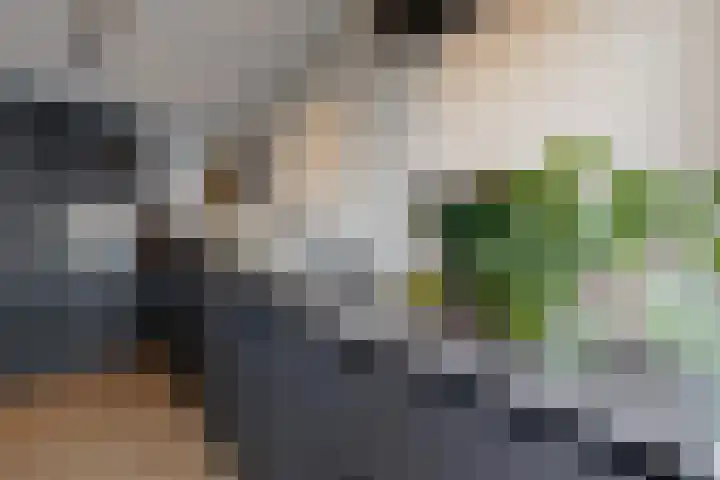 Rosmolen 22 Zevenbergen thumbnail 30