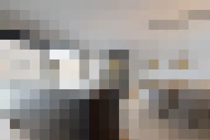 Rosmolen 22 Zevenbergen thumbnail 31