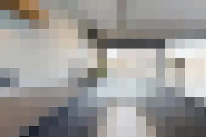 Rosmolen 22 Zevenbergen thumbnail 32