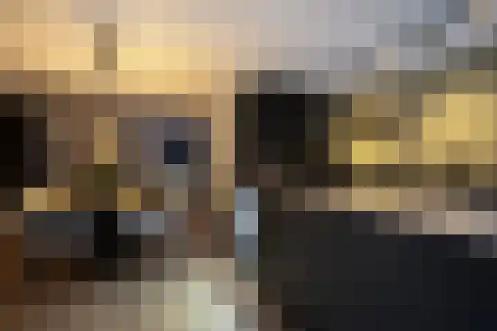 Rosmolen 22 Zevenbergen thumbnail 33