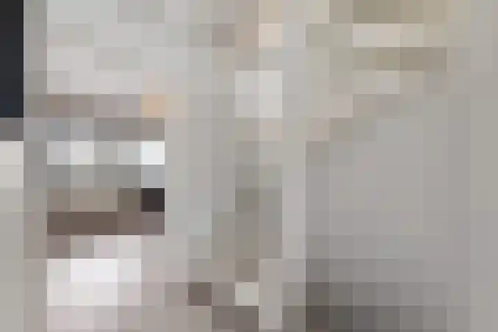 Rosmolen 22 Zevenbergen thumbnail 36