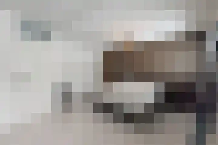 Rosmolen 22 Zevenbergen thumbnail 37