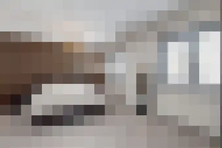 Rosmolen 22 Zevenbergen thumbnail 38