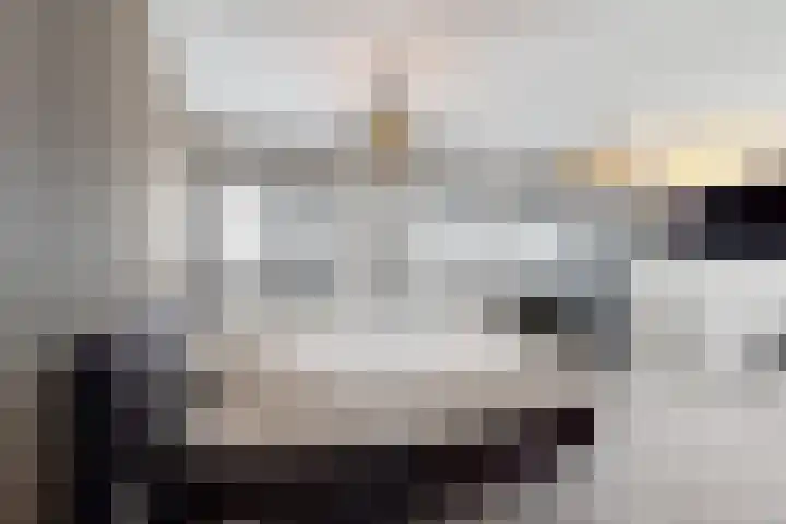 Rosmolen 22 Zevenbergen thumbnail 39