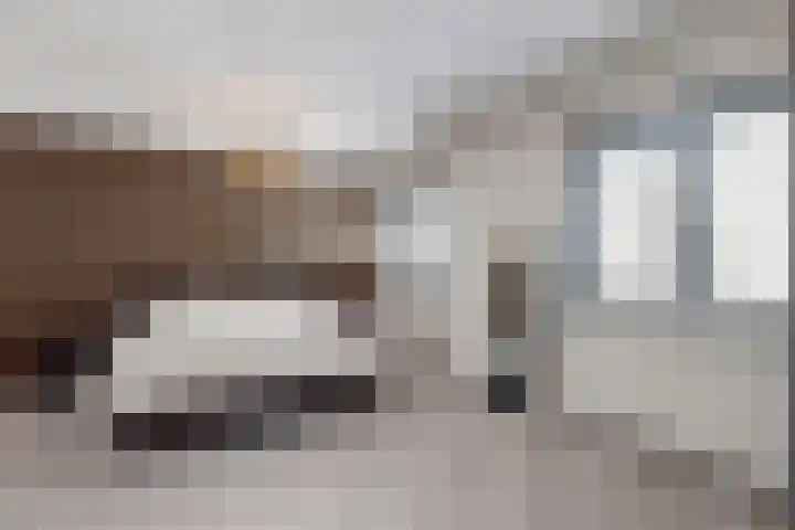Rosmolen 22 Zevenbergen thumbnail 4
