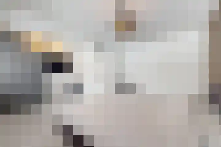 Rosmolen 22 Zevenbergen thumbnail 41