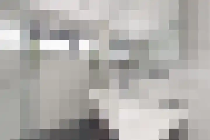 Rosmolen 22 Zevenbergen thumbnail 47