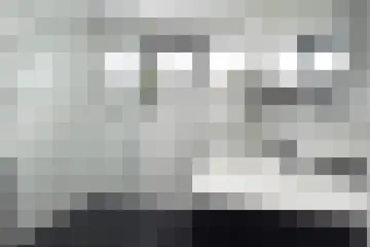 Rosmolen 22 Zevenbergen thumbnail 5