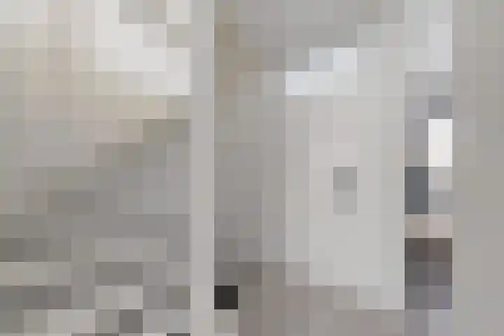 Rosmolen 22 Zevenbergen thumbnail 52