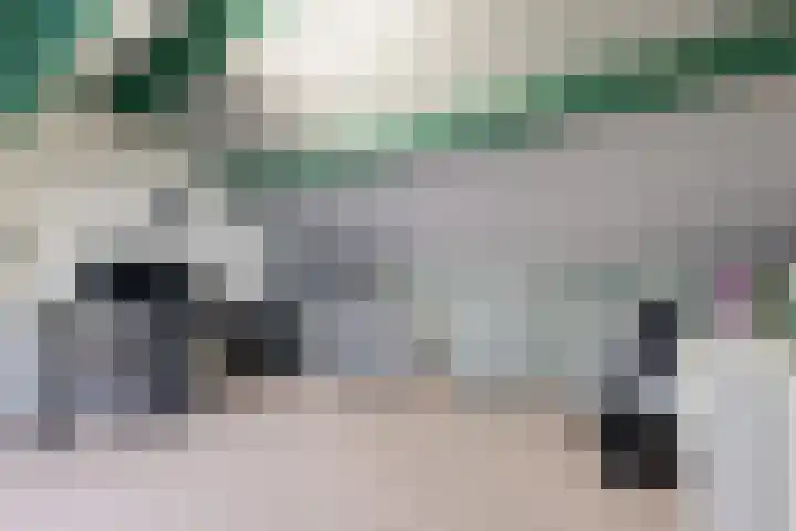 Rosmolen 22 Zevenbergen thumbnail 55