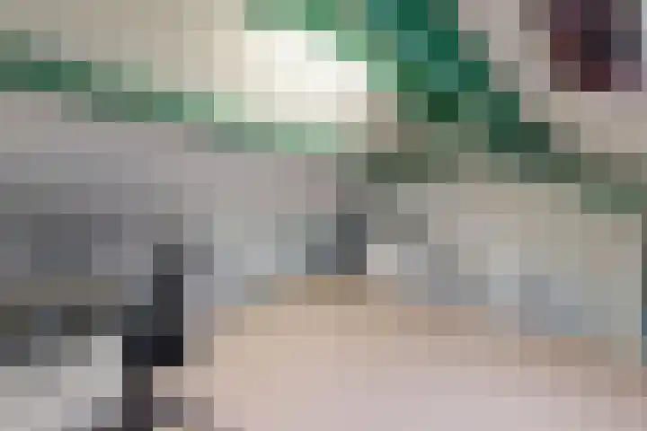 Rosmolen 22 Zevenbergen thumbnail 56