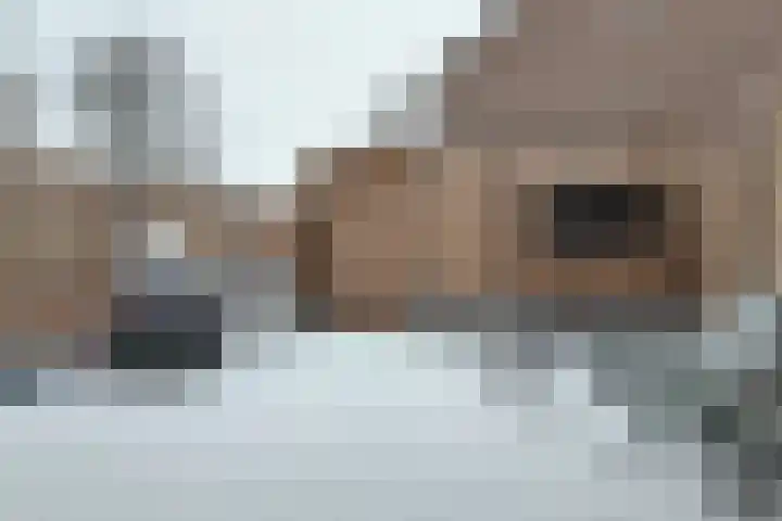 Rosmolen 22 Zevenbergen thumbnail 57
