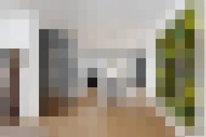 Rosmolen 22 Zevenbergen thumbnail 9