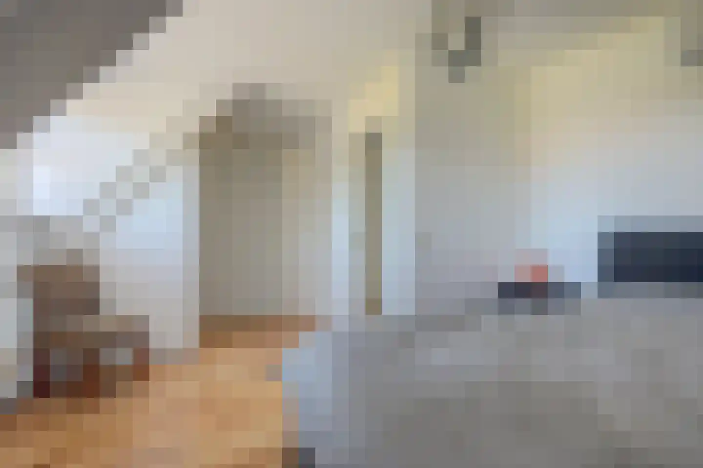 Rosmolen 23 de Lutte thumbnail 13