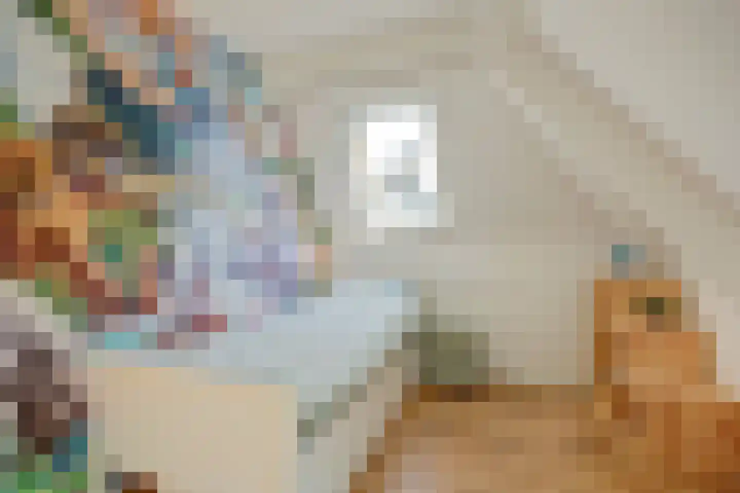 Rosmolen 23 de Lutte thumbnail 15