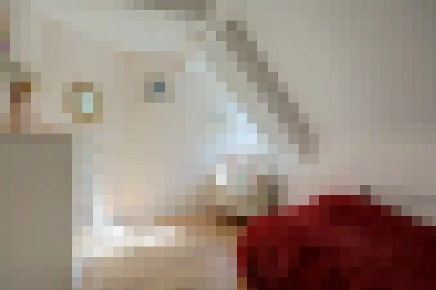 Rosmolen 23 de Lutte thumbnail 17