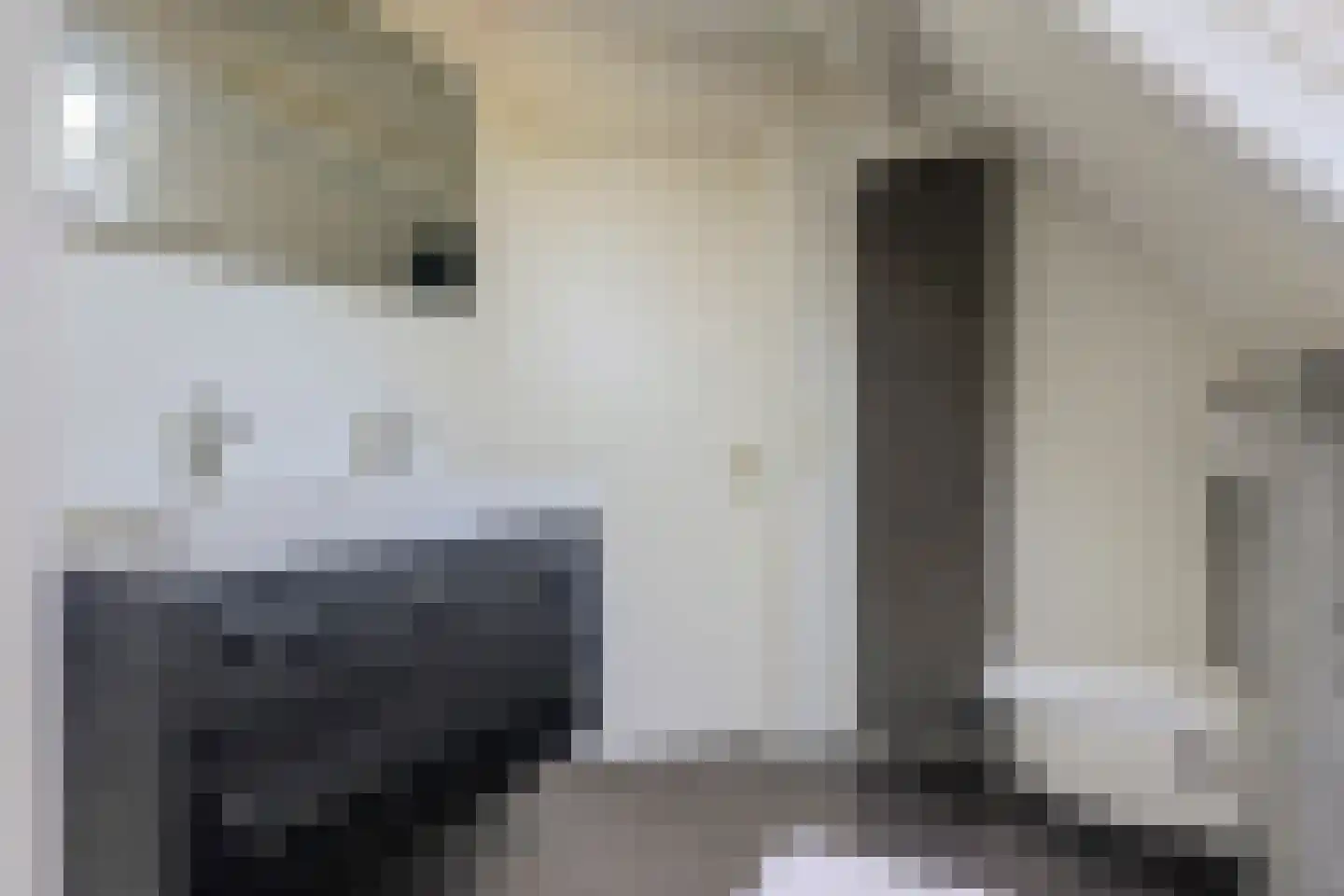 Rosmolen 23 de Lutte thumbnail 21