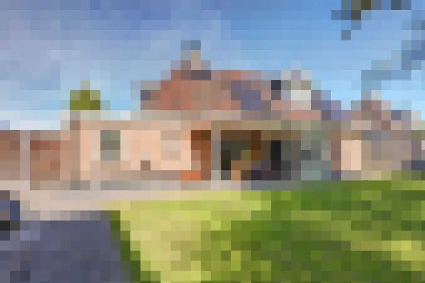 Rosmolen 23 de Lutte foto 3