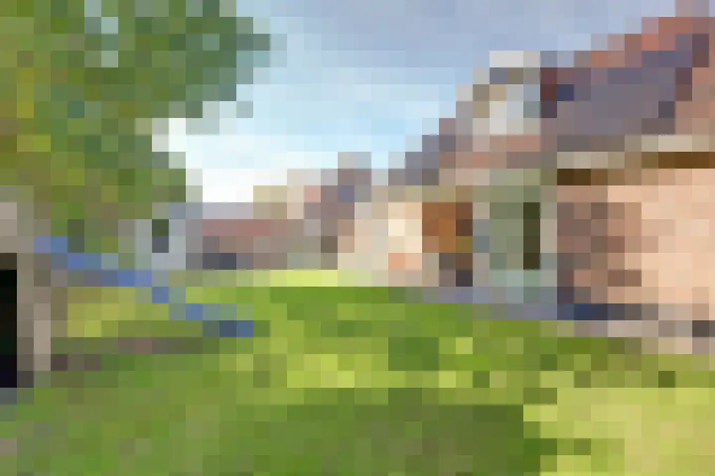 Rosmolen 23 de Lutte thumbnail 7