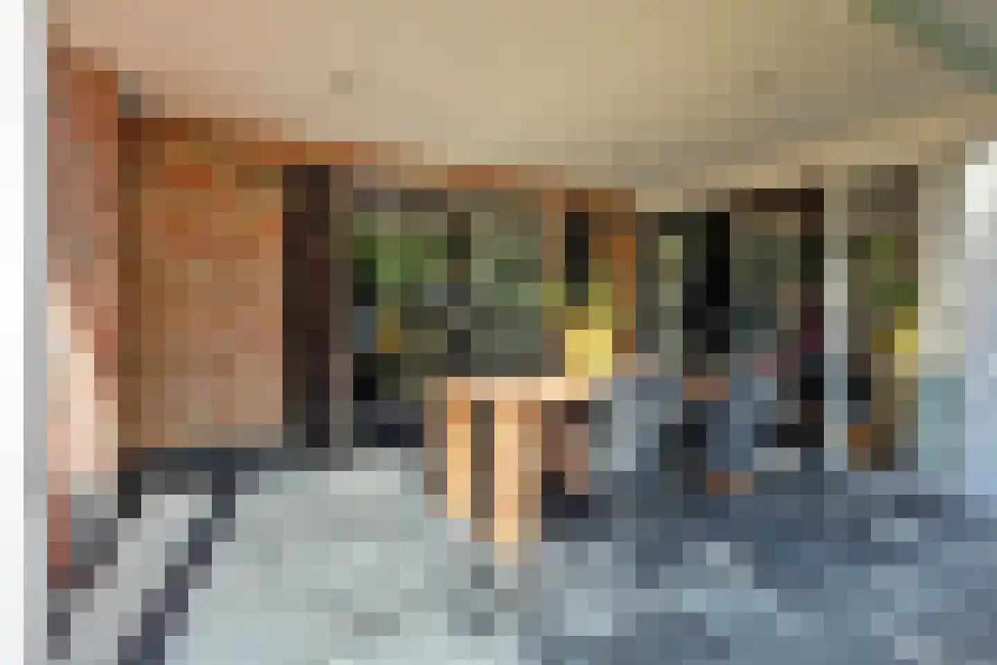 Rosmolen 23 de Lutte thumbnail 9
