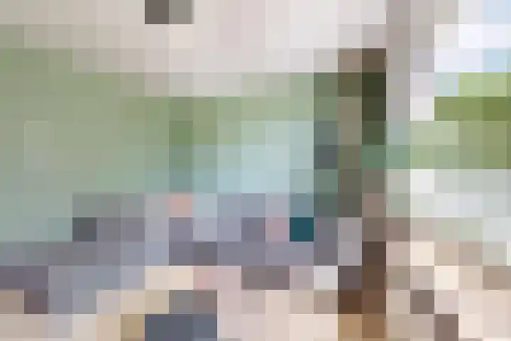 Rosmolen 24 Zevenbergen thumbnail 10