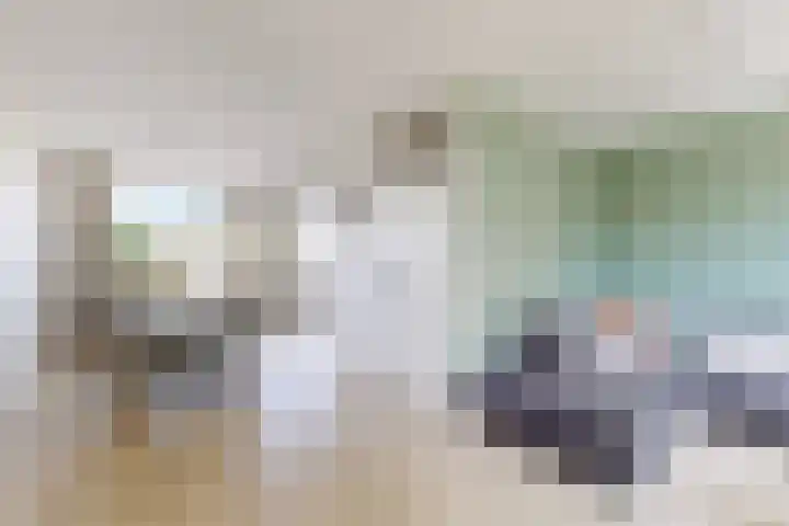 Rosmolen 24 Zevenbergen thumbnail 13