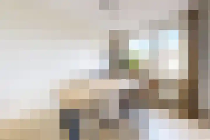 Rosmolen 24 Zevenbergen thumbnail 15