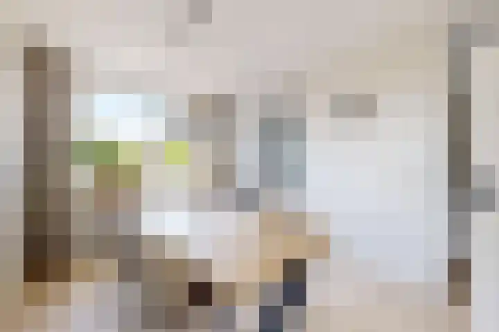 Rosmolen 24 Zevenbergen thumbnail 16