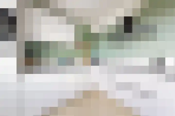 Rosmolen 24 Zevenbergen thumbnail 18