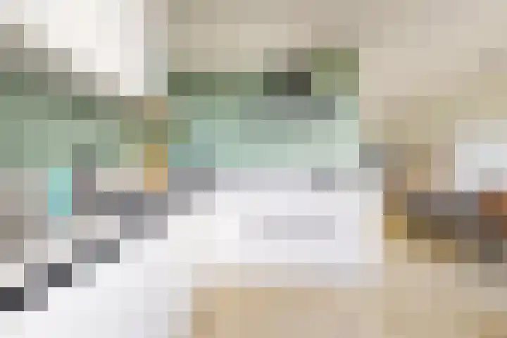 Rosmolen 24 Zevenbergen thumbnail 19