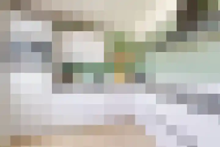 Rosmolen 24 Zevenbergen thumbnail 20