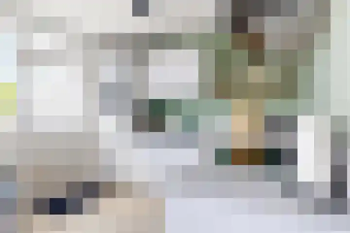 Rosmolen 24 Zevenbergen thumbnail 22