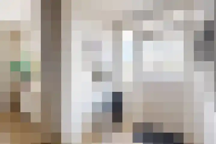 Rosmolen 24 Zevenbergen thumbnail 23