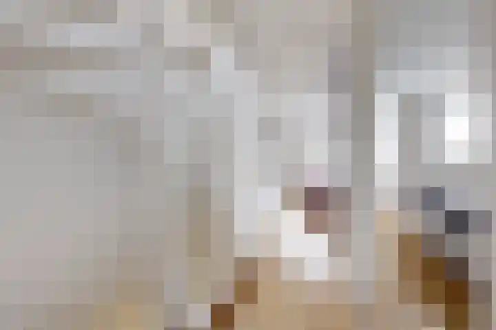 Rosmolen 24 Zevenbergen thumbnail 25