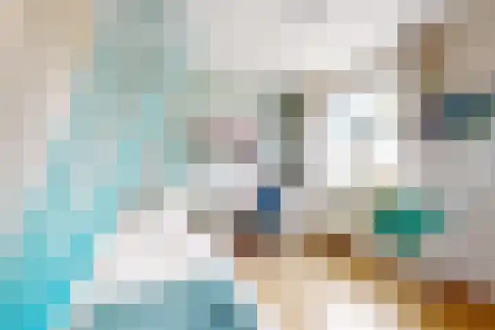 Rosmolen 24 Zevenbergen thumbnail 26