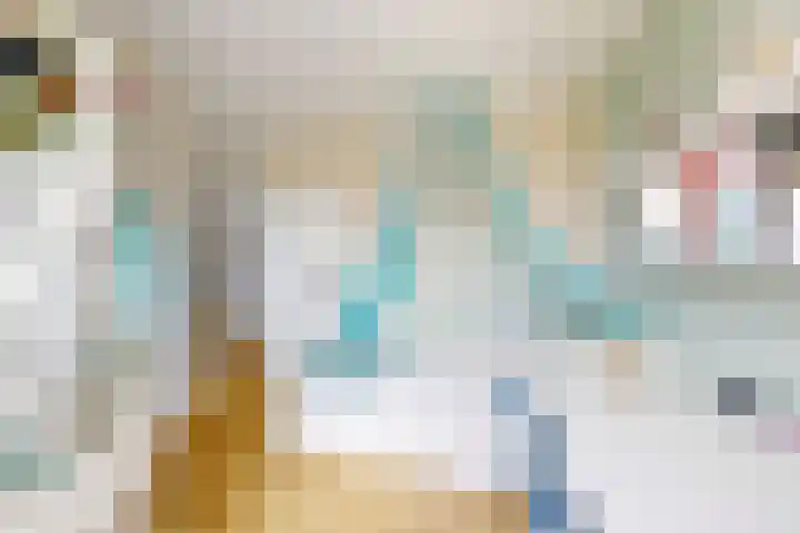 Rosmolen 24 Zevenbergen thumbnail 28