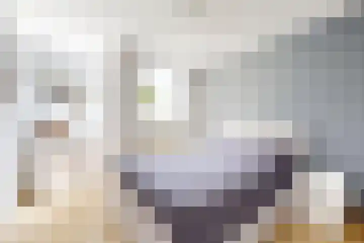 Rosmolen 24 Zevenbergen thumbnail 29