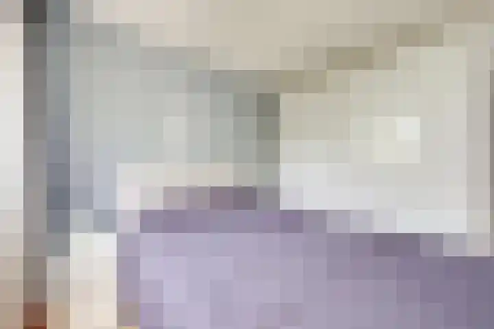 Rosmolen 24 Zevenbergen thumbnail 31