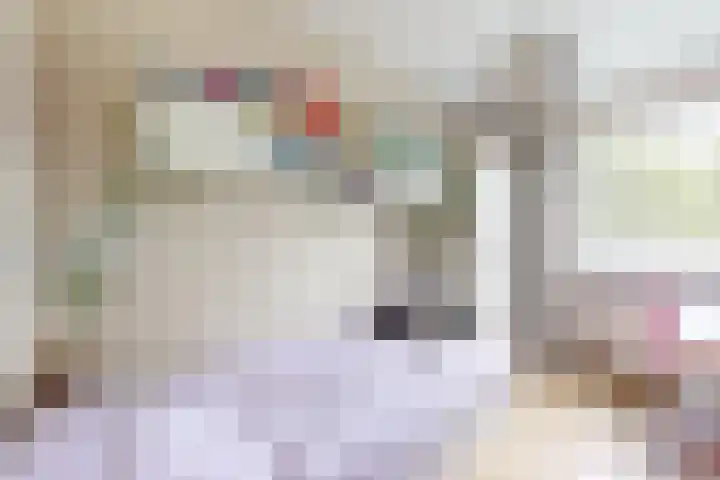 Rosmolen 24 Zevenbergen thumbnail 32