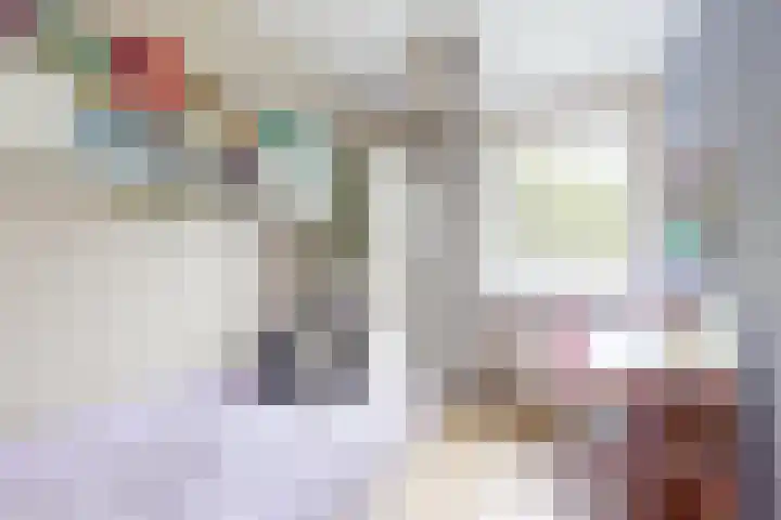 Rosmolen 24 Zevenbergen thumbnail 33
