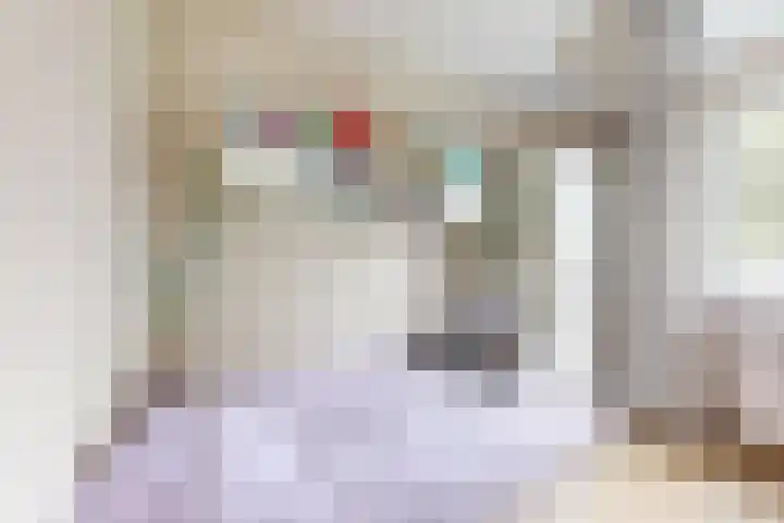 Rosmolen 24 Zevenbergen thumbnail 34