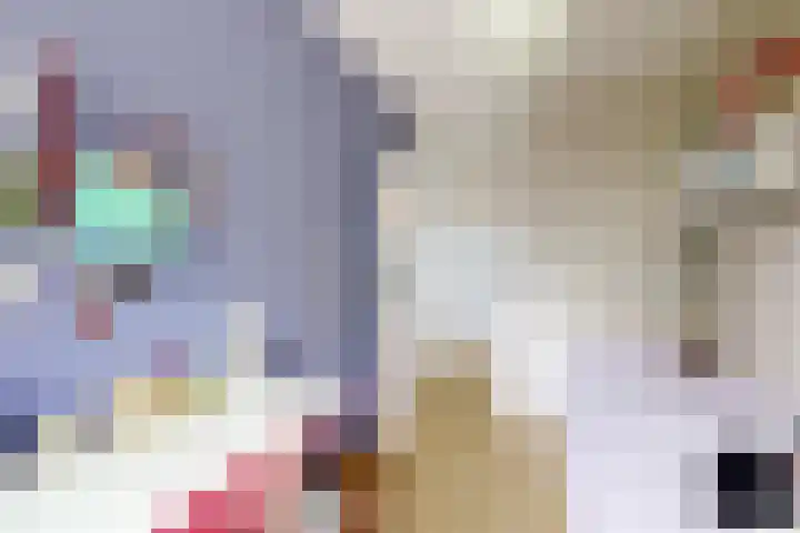 Rosmolen 24 Zevenbergen thumbnail 35