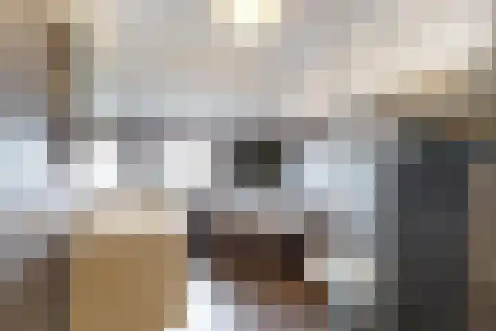 Rosmolen 24 Zevenbergen thumbnail 36